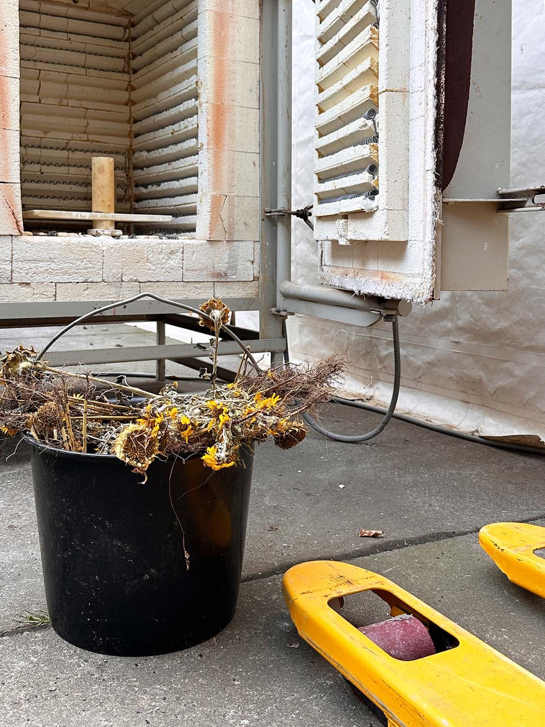 Solsikker brændes