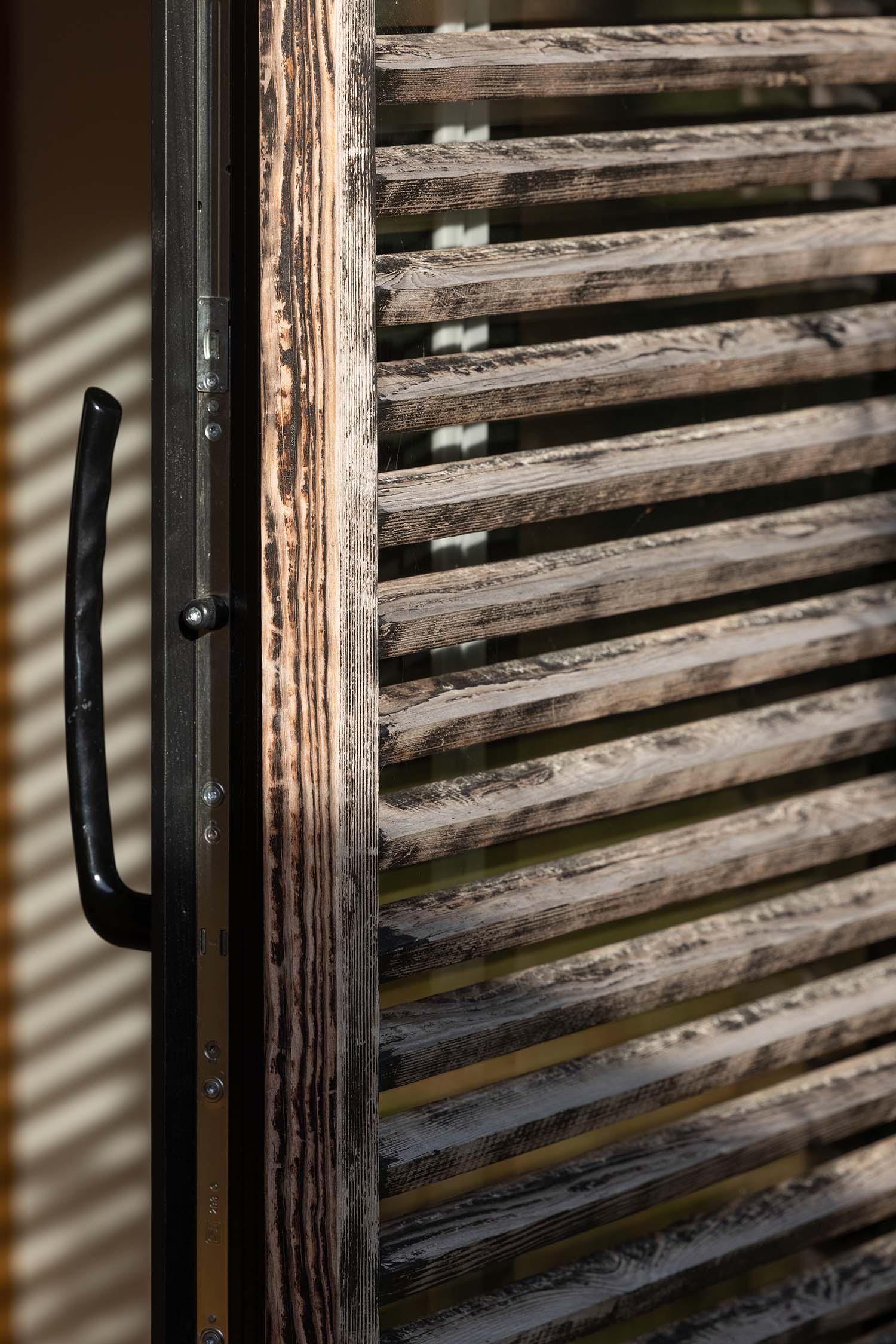 facade detalje